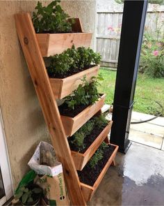 a wooden planter filled with lots of plants