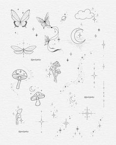 an ink drawing of different types of butterflies and moths on white paper with stars, crescents