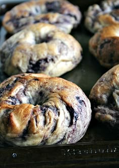 freshly baked blueberry donuts on a baking sheet