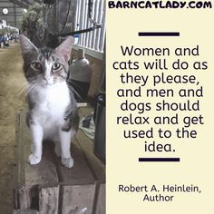 a cat sitting on top of a wooden box next to a sign that says women and cats will do as they please and men and dogs should relax and get used to the idea