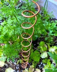 a close up of a metal spiral planter in the ground surrounded by greenery