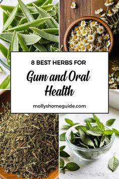 Discover the power of medicinal herbs and essential oils for gum and oral infections. Learn how to naturally address gingivitis, swollen gums, mouth sores, and more. From using oil pulling techniques to exploring home remedies for gum disease, there are plenty of ways to boost your oral health. Combat gum recession and periodontitis with the help of natural remedies that can soothe inflammed gums and fight against gum infection effectively. Healing Gums Naturally, Inflammed Gums, Herbal Medicine Cabinet, Herb Tinctures, Astrology Meaning, Gum Recession, Homesteading Diy, Young Living Essential Oils Recipes, Health Hacks