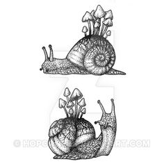 two snails are sitting on top of each other