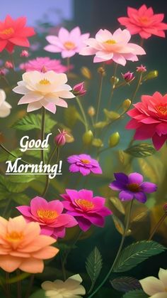 colorful flowers with the words good morning on it