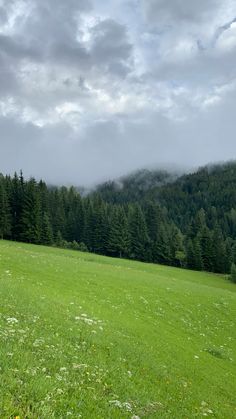 a green field with trees and clouds in the background