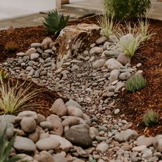 a rock garden with plants and rocks in it