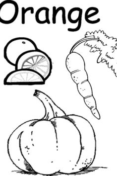 an orange coloring page with some vegetables