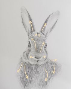 a drawing of a rabbit's head with yellow arrows on its chest and ears