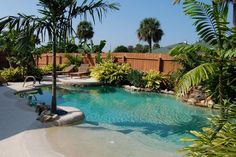 an outdoor swimming pool surrounded by palm trees and other greenery in front of a fenced area