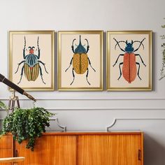 three framed bugs are hanging on the wall above a wooden dresser and plant in a living room