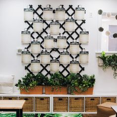 a room with plants and baskets on the wall