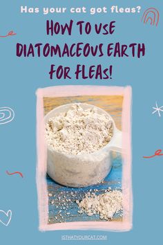 a white bowl filled with dirt on top of a blue background and the words, how to use diatomaceous earth for fleas?