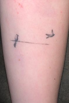 two birds on a wire attached to the leg