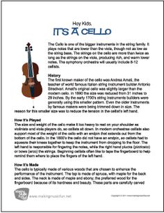 an article about how to play the violin for kids with pictures and text on it