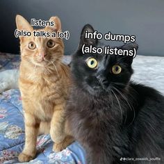 two cats sitting on top of a bed with the caption listeners also talks