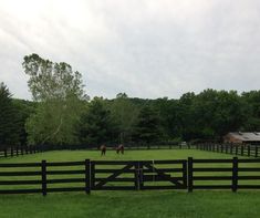 two horses in a field behind a fence