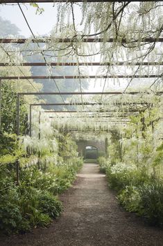 an outdoor walkway surrounded by trees and plants