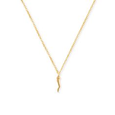 a gold necklace with a small snake on it's end and a chain hanging from the back