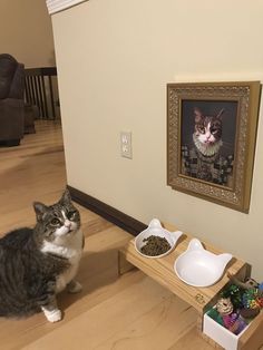 a cat sitting on the floor in front of a wooden table with bowls and food