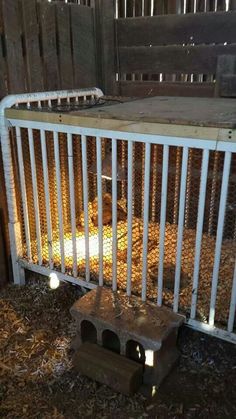 a chicken cage with chickens in it and some wood chips on the ground next to it