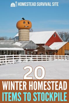 a farm with pumpkins on it and the words 20 winter homestead items to stockpile