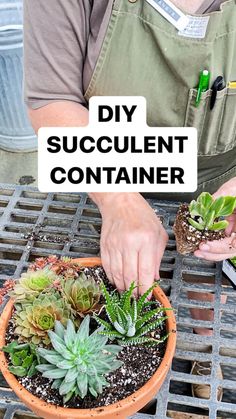 a person holding a sign that says diy succulent container