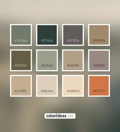 several different shades of brown, green, and orange on a blurry background with the words color ideas below them