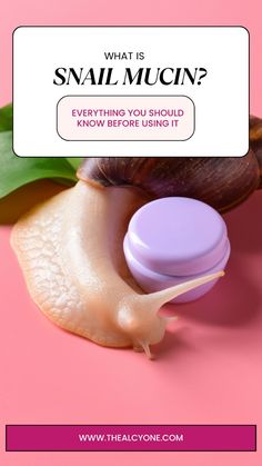 Curious about snail mucin? Discover how this unique skincare ingredient hydrates, heals, and rejuvenates your skin. Learn why it's becoming a staple in beauty routines and how you can incorporate it into yours! Snail Mucin, Skincare Benefits, Healthier Skin, Skincare Ingredients