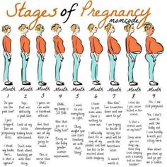 the stages of pregnant menstruct in different positions, including standing and sitting