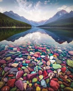 the rocks are all over the water and it looks like they have been made out of stones