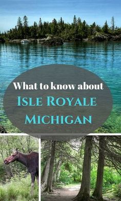 what to know about isle royale michigan with pictures of horses and trees in the background