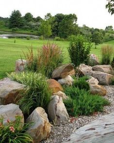 a garden with rocks and plants in it