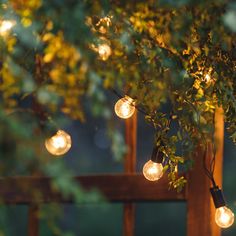 some lights that are hanging from a tree