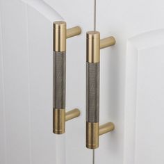 two brass handles on a white door