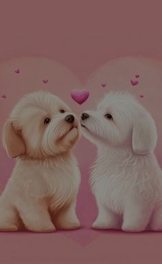 two white puppies sitting next to each other on a pink background with hearts in the air