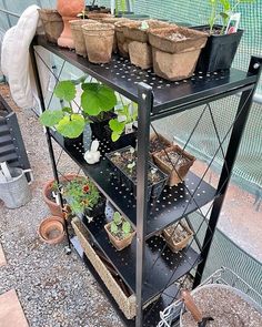 a shelf filled with potted plants on top of gravel