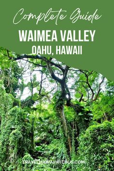 the complete guide to waimea valley, oahuu, hawaii with text overlay