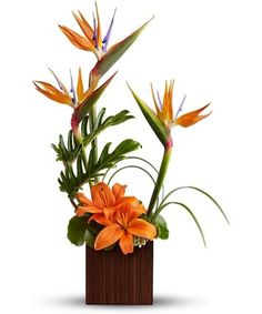 an orange and purple flower arrangement in a square vase on a white background with green leaves