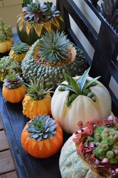 pumpkins and succulents are arranged on a bench