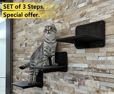 a cat sitting on top of a shelf in front of a brick wall with shelves