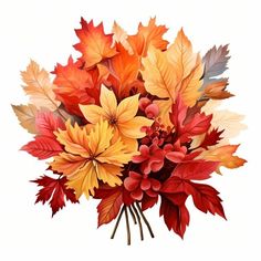 a bouquet of autumn leaves on a white background