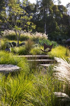 an outdoor area with grass, rocks and benches in the foreground is surrounded by tall grasses