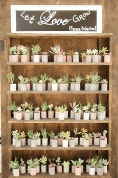 a shelf filled with lots of potted plants next to a sign that says let love grow