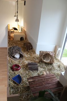 an animal laying on top of hay next to a cat bed in a room with wooden floors