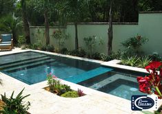 a small pool surrounded by trees and plants