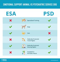 an info sheet describing the differences between essa and psd in dog training programs