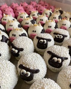 there are many cupcakes decorated to look like sheep