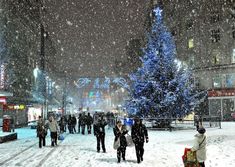 people are walking in the snow near a christmas tree