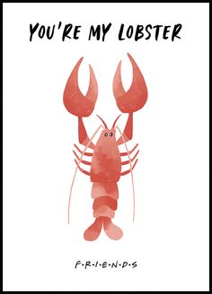 a red lobster with the words you're my lobster on it, and an image of