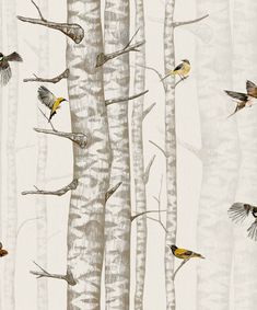 birds are flying around the trees in this wallpaper design, which is very similar to birch trees